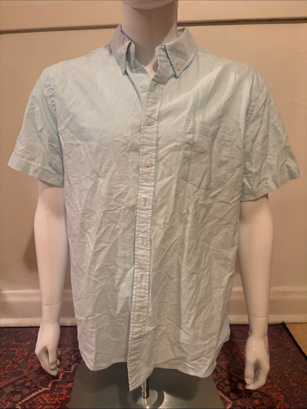 Men's Short-Sleeve Button-Down Shirt in Light Mint